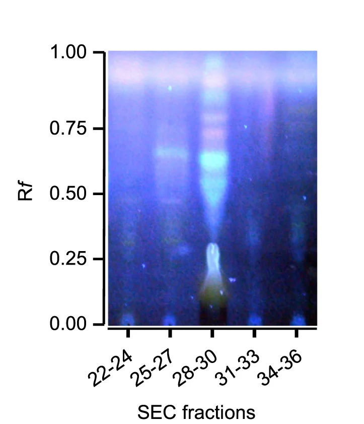 Open access visualization of Gel, TLC, Silica Gel, SEC Fractions, Lieberman-Burchard Reagent