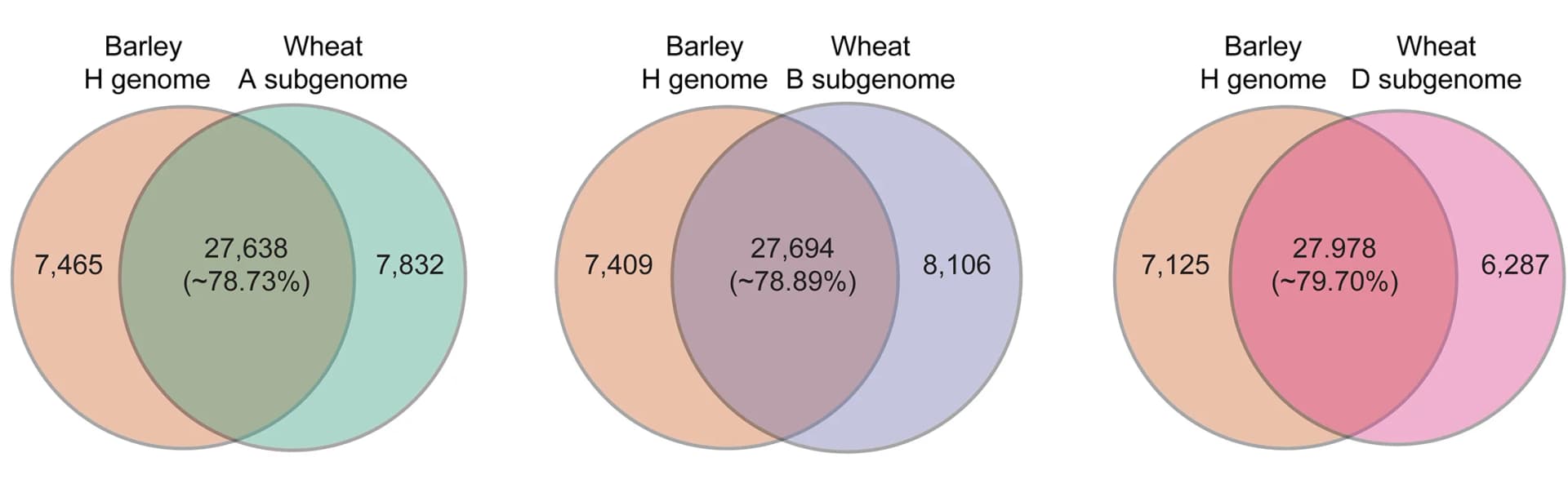 Open access visualization of Venn Diagram, Wheat Homologs, Barley Genes, Gene Identification
