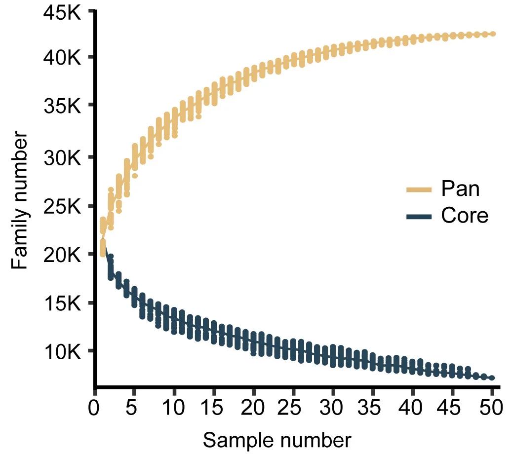 Open access visualization of Line Plot, Scatter Plot, Pan Genome, Core Genome, Gene Families