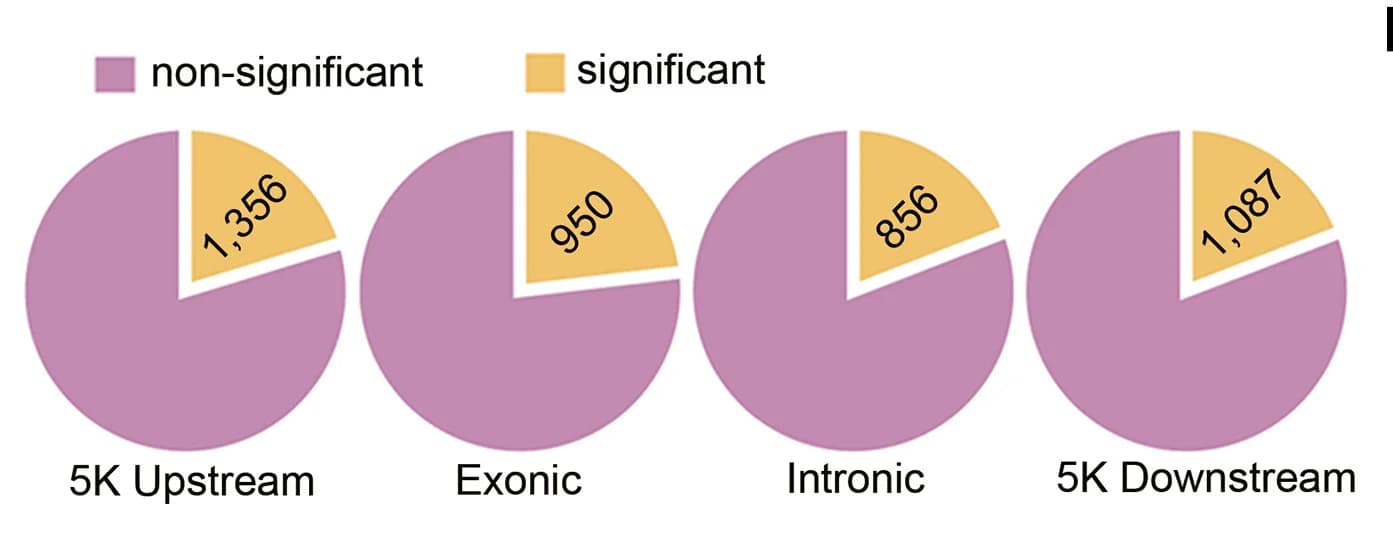 Open access visualization of Pie Chart, Structural Variations, Gene Expression, Accessions