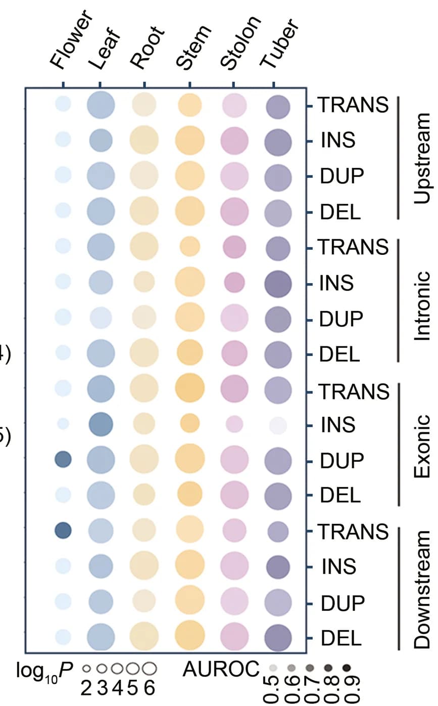 Open access visualization of Bubble Plot, Structural Variations, Gene Expression, Tissues, AUROC