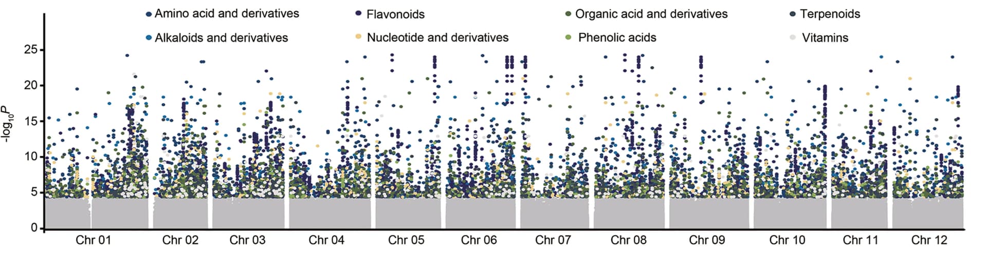 Open access visualization of Manhattan Plot, Scatter Plot, Manhattan Plots, Metabolomics-GWAS, Genetic Associations