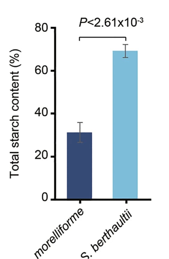 Open access visualization of Bar Plot, Error Bars, Starch Content, Exon Deletion, SSIII