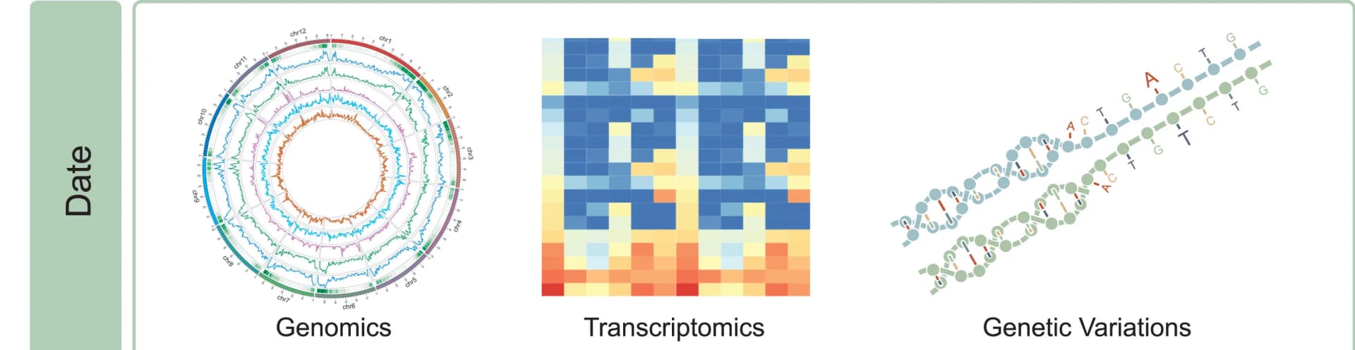 Open access visualization of Line Plot, Heatmap, Illustration, Potato Pangenome Database, Source Data