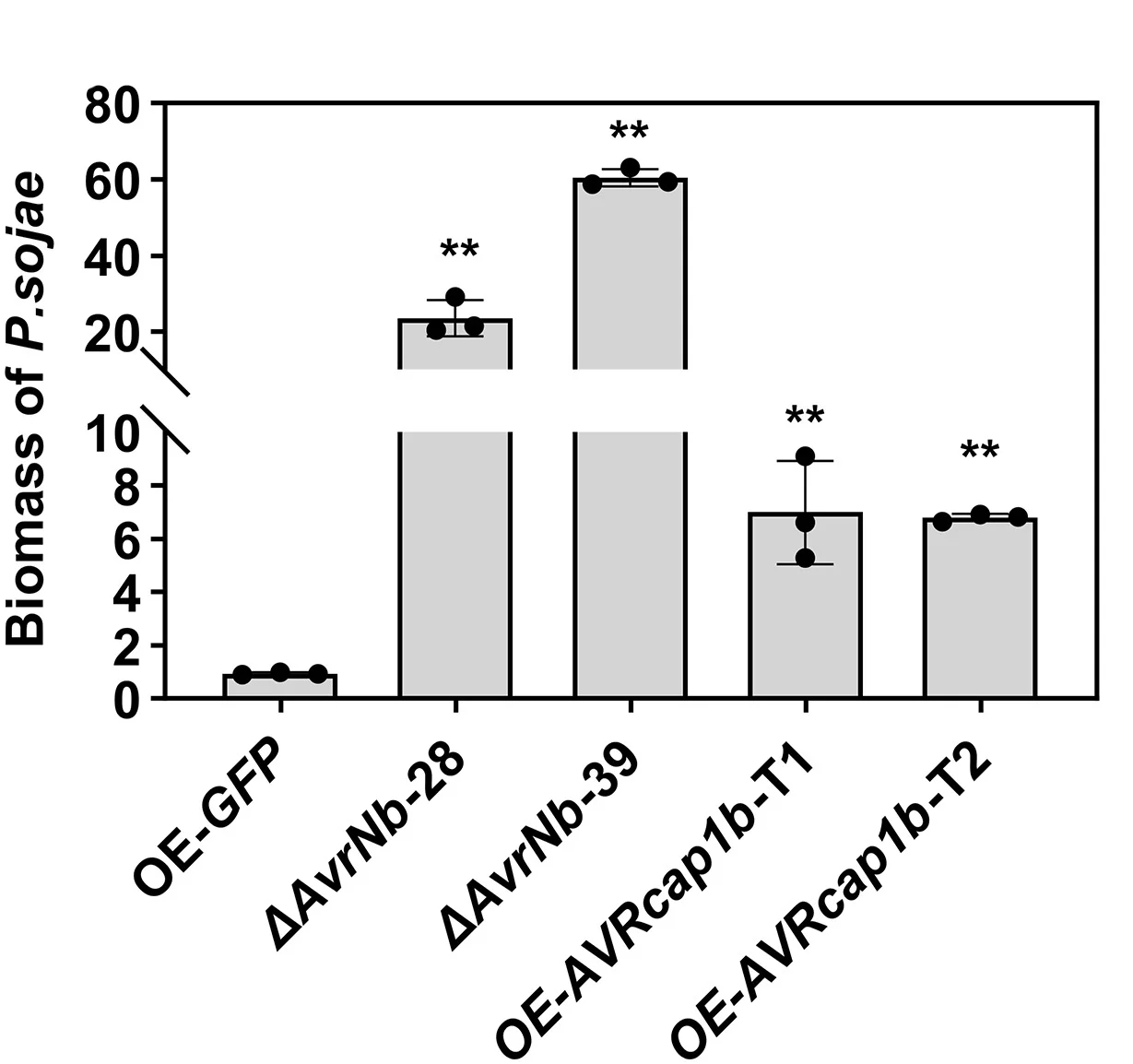 Open access visualization of Bar Plot, Error Bars, Biomass, Ps Strains, N. benthamiana