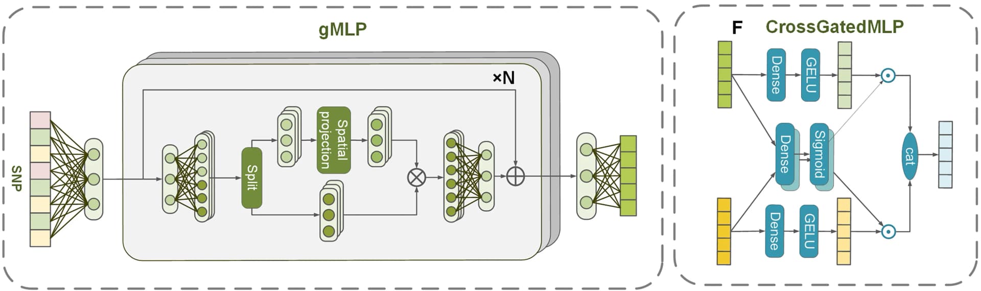 Open access visualization of Workflow, Flowchart, gMLP Layer, Genotype Features, TimeFeatureBlock Layer