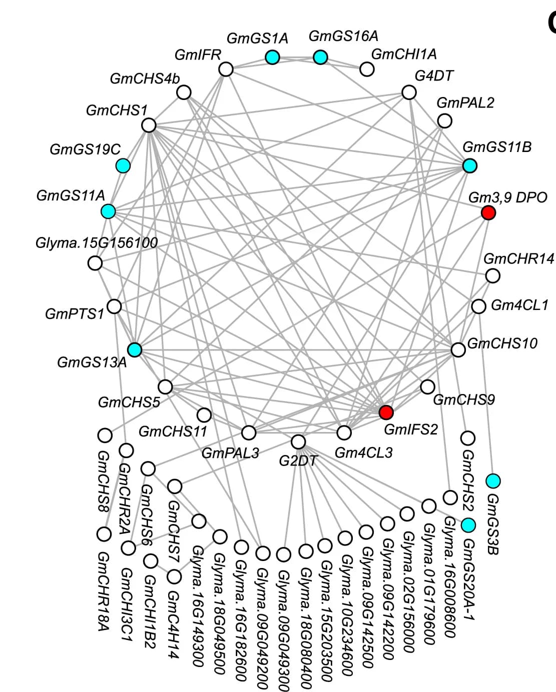 Open access visualization of Network, Pathway, Co-expression Network Analysis, GmGS Candidates, Glyceollin Biosynthetic Genes