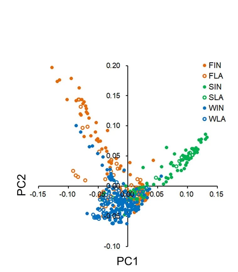 Open access visualization of Scatter Plot, PCA, Principal-Component Analysis, Edible Maize Accessions, Field Inbred Lines