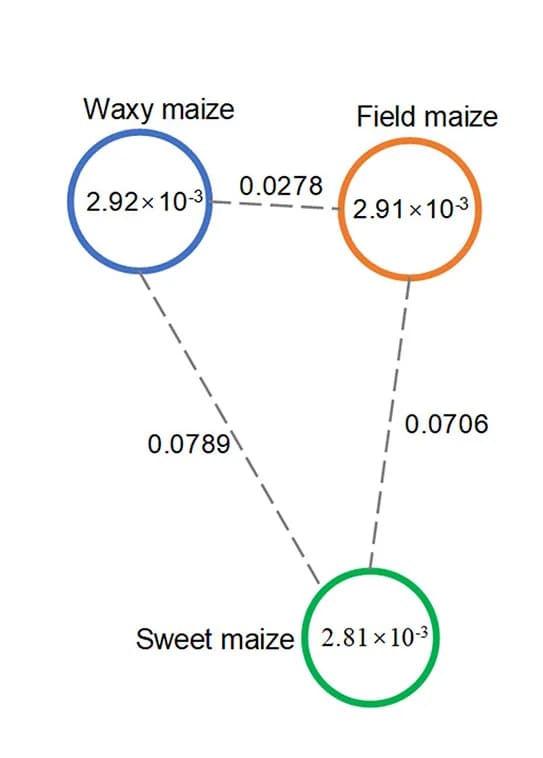 Open access visualization of Network, Pathway, Genetic Diversity, Subgroup Differentiation, Edible Maize Subgroups