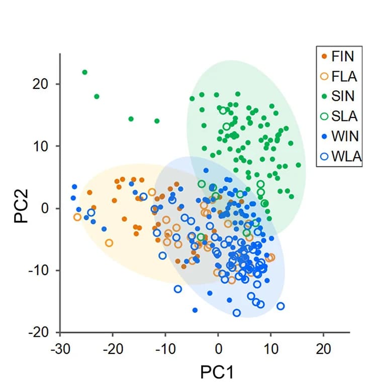 Open access visualization of Scatter Plot, PCA, PCA Visualization, Metabolites, Principal-Component Analysis