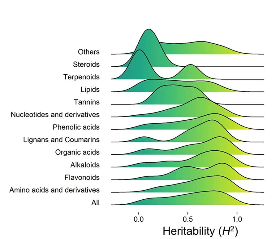 Open access visualization of Density Plot, Ridge Plot, Broad-Sense Heritability, Metabolite Classes, Distribution