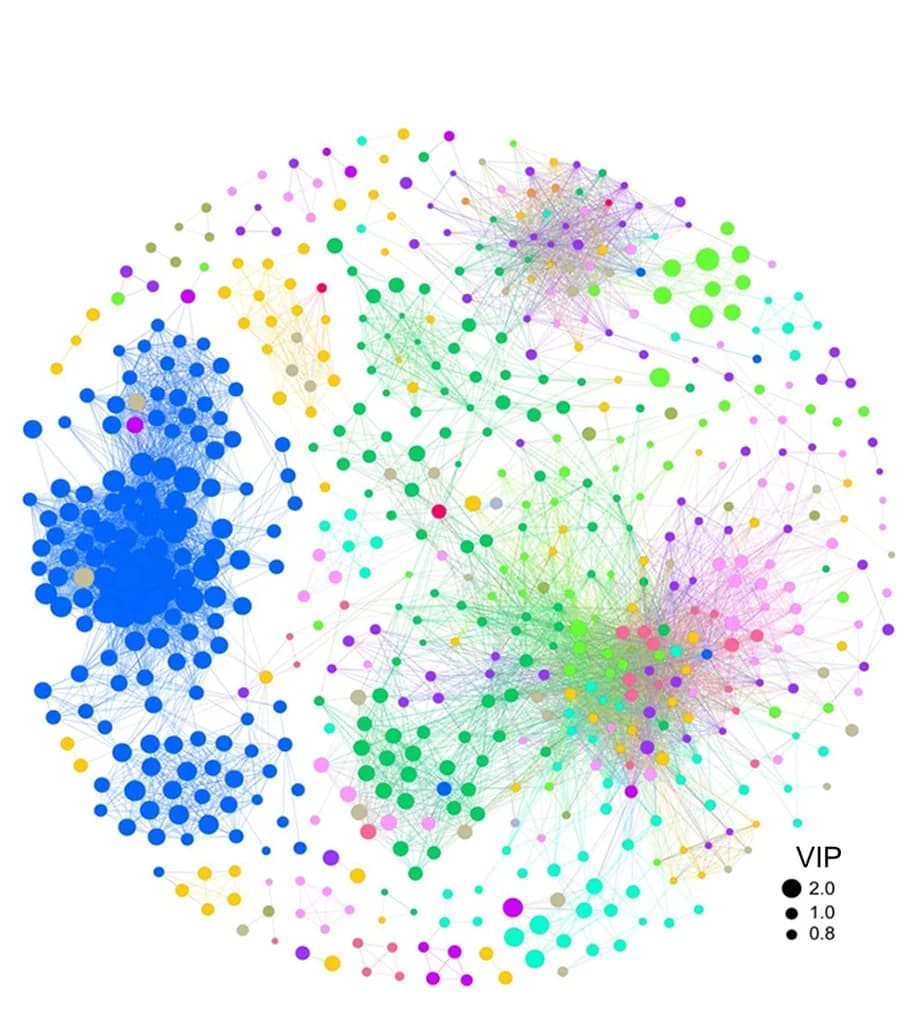 Open access visualization of Network, Pathway, False Discovery Rate, T-test, Field Maize