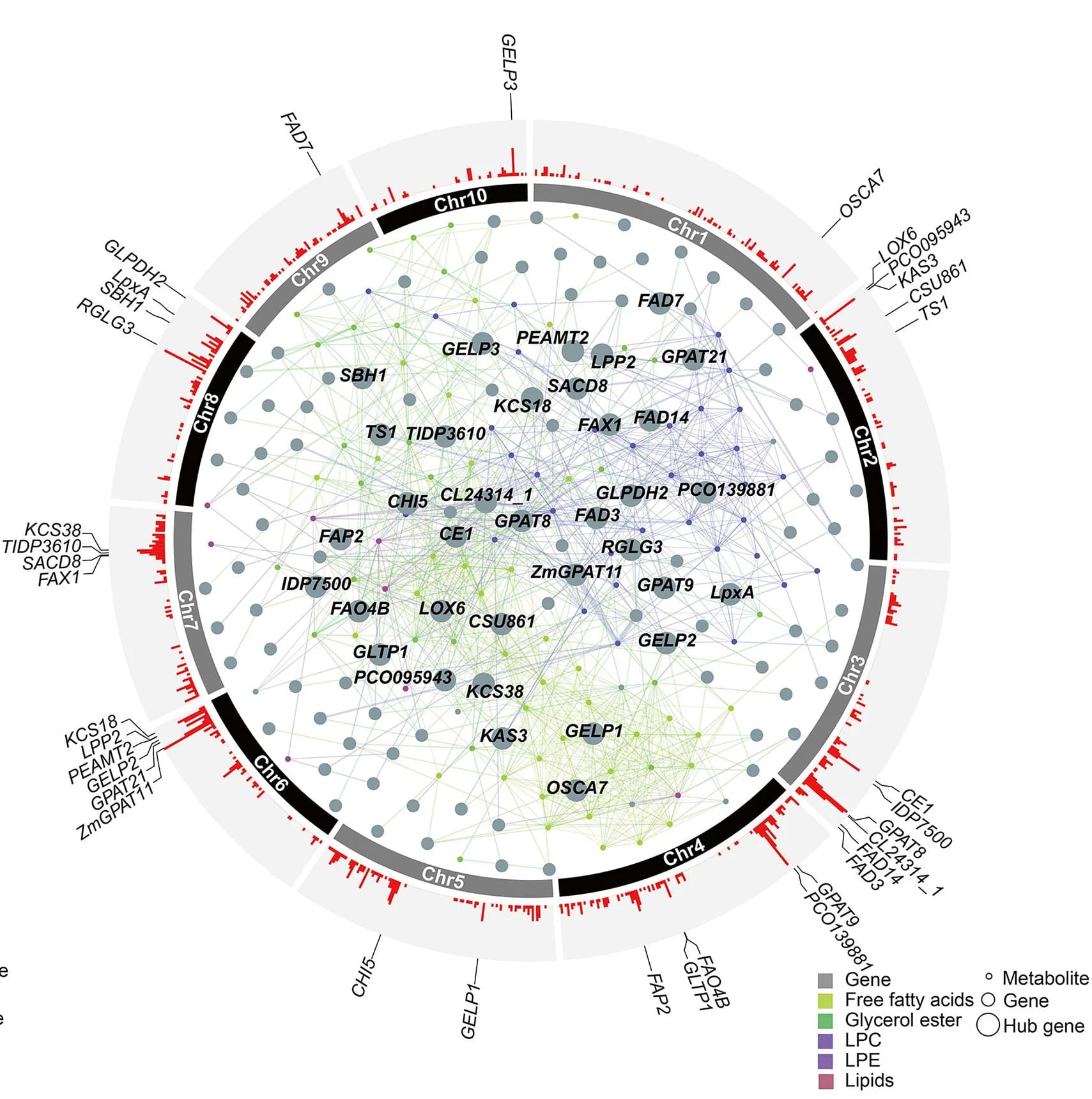 Open access visualization of Network, Bar Plot, Hub Genes, Gene-Metabolite Networks, Lipids