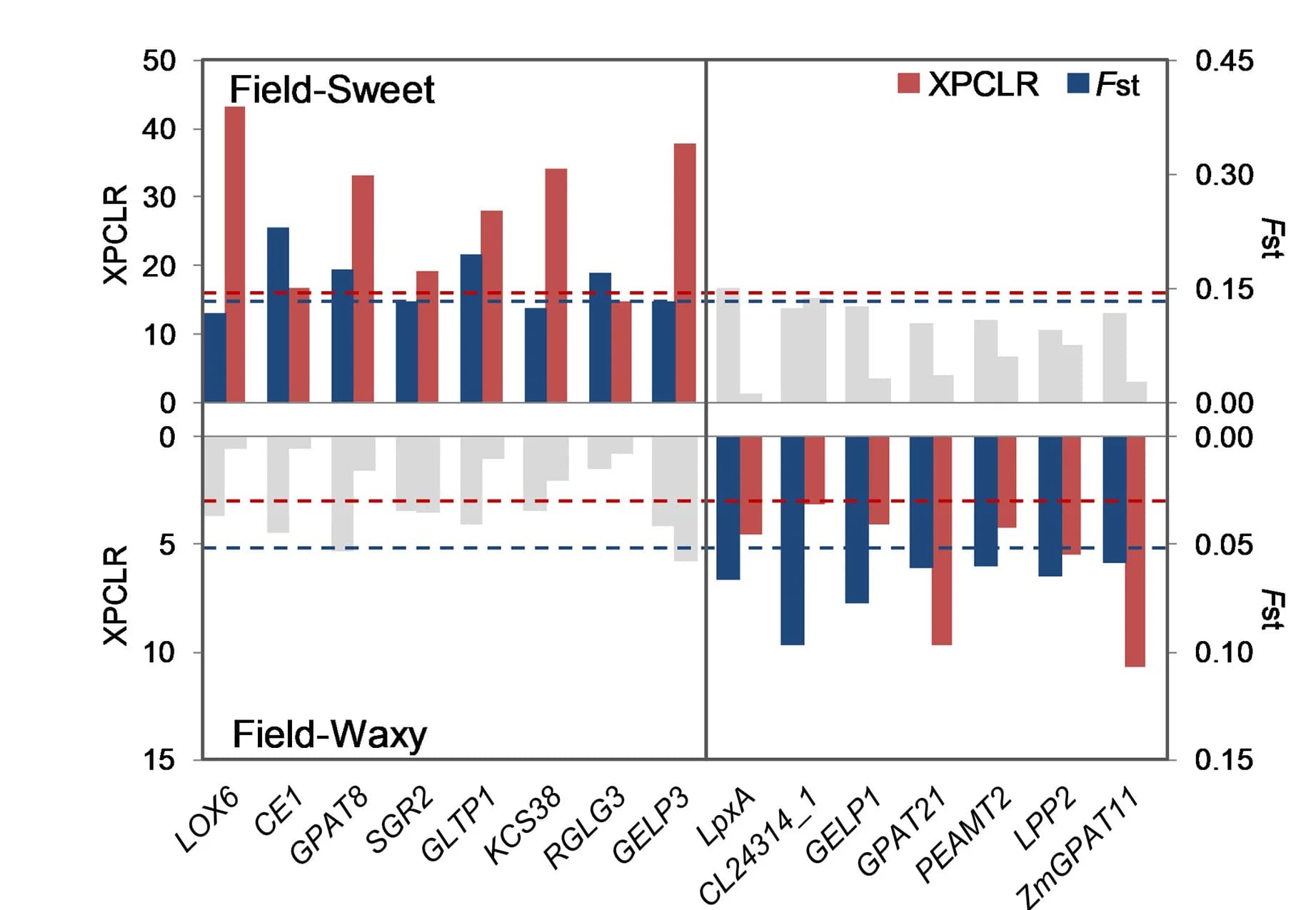 Open access visualization of Clustered, Bar Plot, Differentiation Hub Genes, Lipids, Field-Sweet