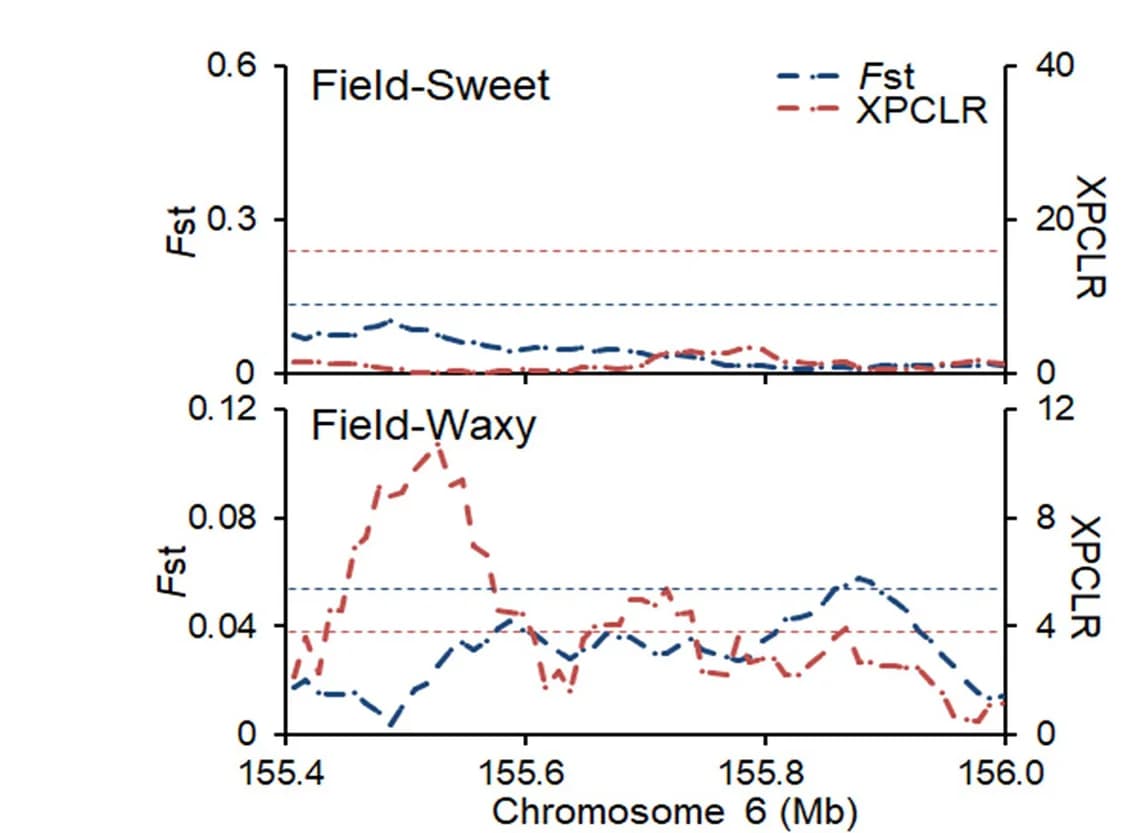 Open access visualization of Line Plot, XP-CLR, FST, ZmGPAT11, Genomic Regions