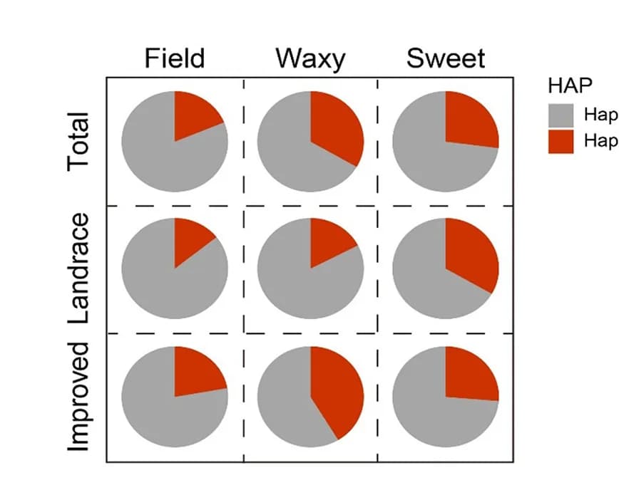 Open access visualization of Pie Chart, Allele Frequencies, ZmGPAT11, Field, Waxy