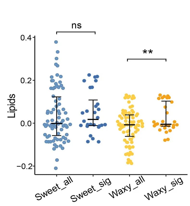 Open access visualization of Scatter Plot, Error Bars, Differential Metabolites, Mutant, Lipid Metabolites