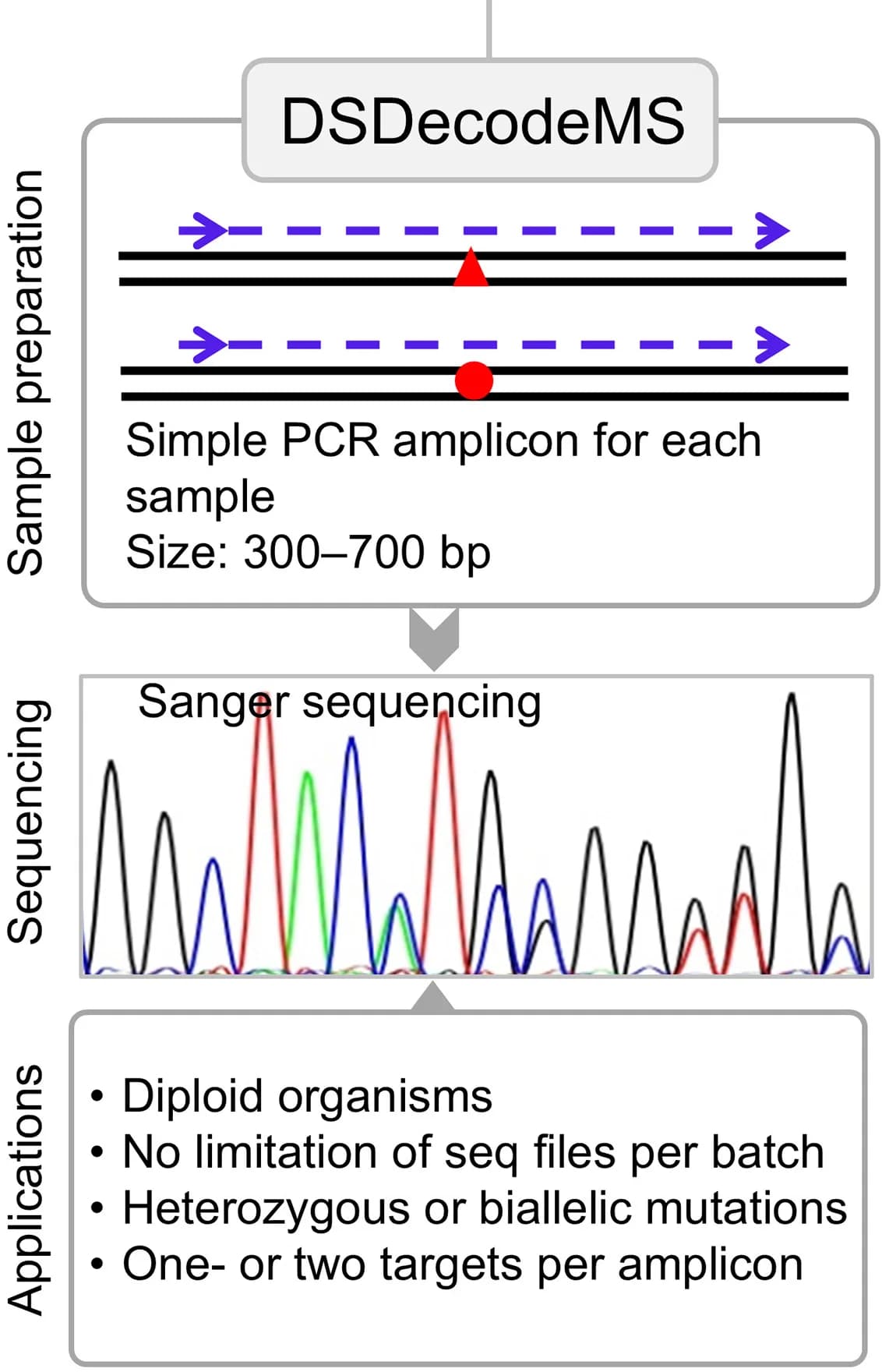 Open access visualization of Workflow, Line Plot, Sanger Sequencing, PCR, Diploid Organisms