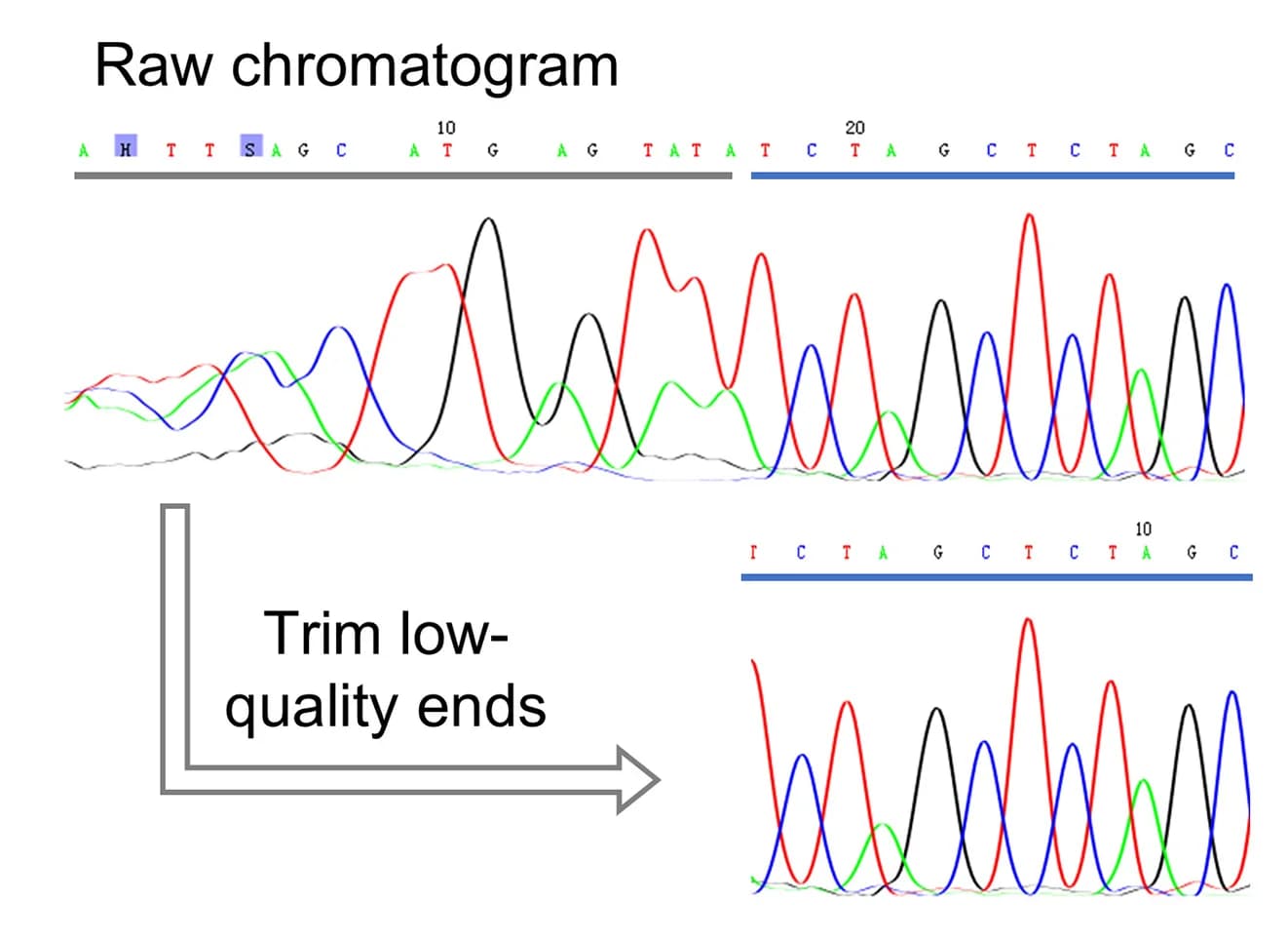 Open access visualization of Line Plot, Low-quality Sequences, Chromatogram, Richard Mott Algorithm