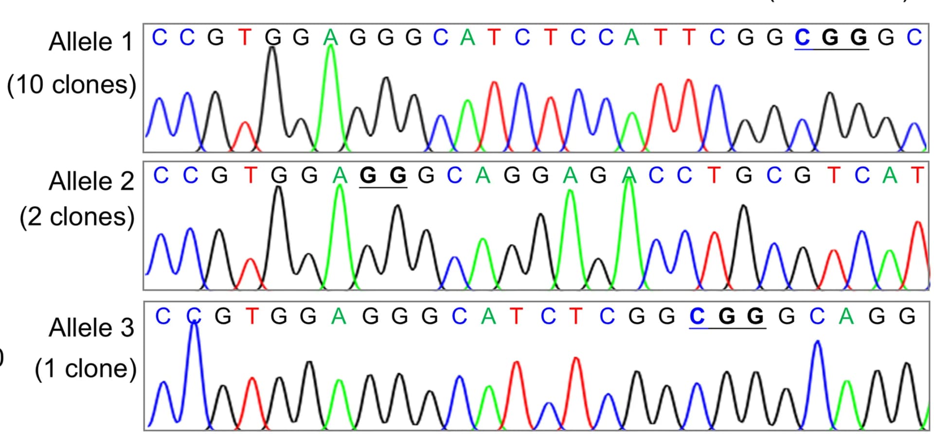 Open access visualization of Line Plot, Mutant Alleles, Cloning, Sanger Sequencing, PCR Product