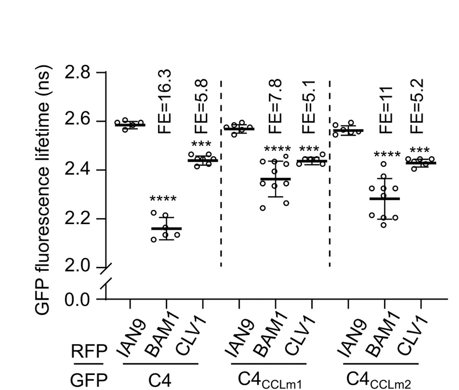 Open access visualization of Scatter Plot, Error Bars, C4, C4CCLm1, C4CCLm2