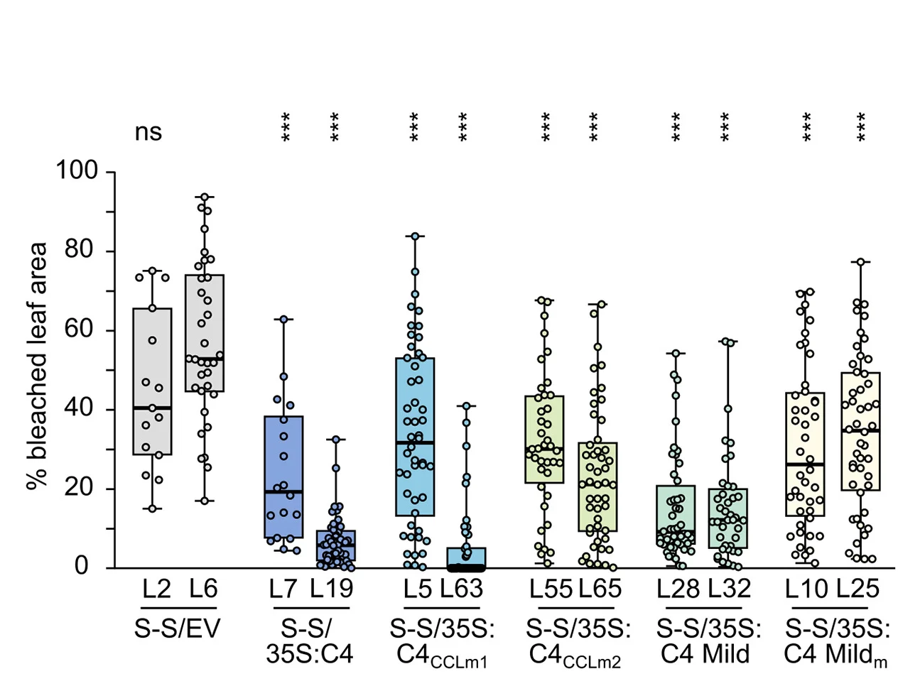 Open access visualization of Box Plot, Scatter Plot, Bleaching Quantification, Arabidopsis Plants, C4