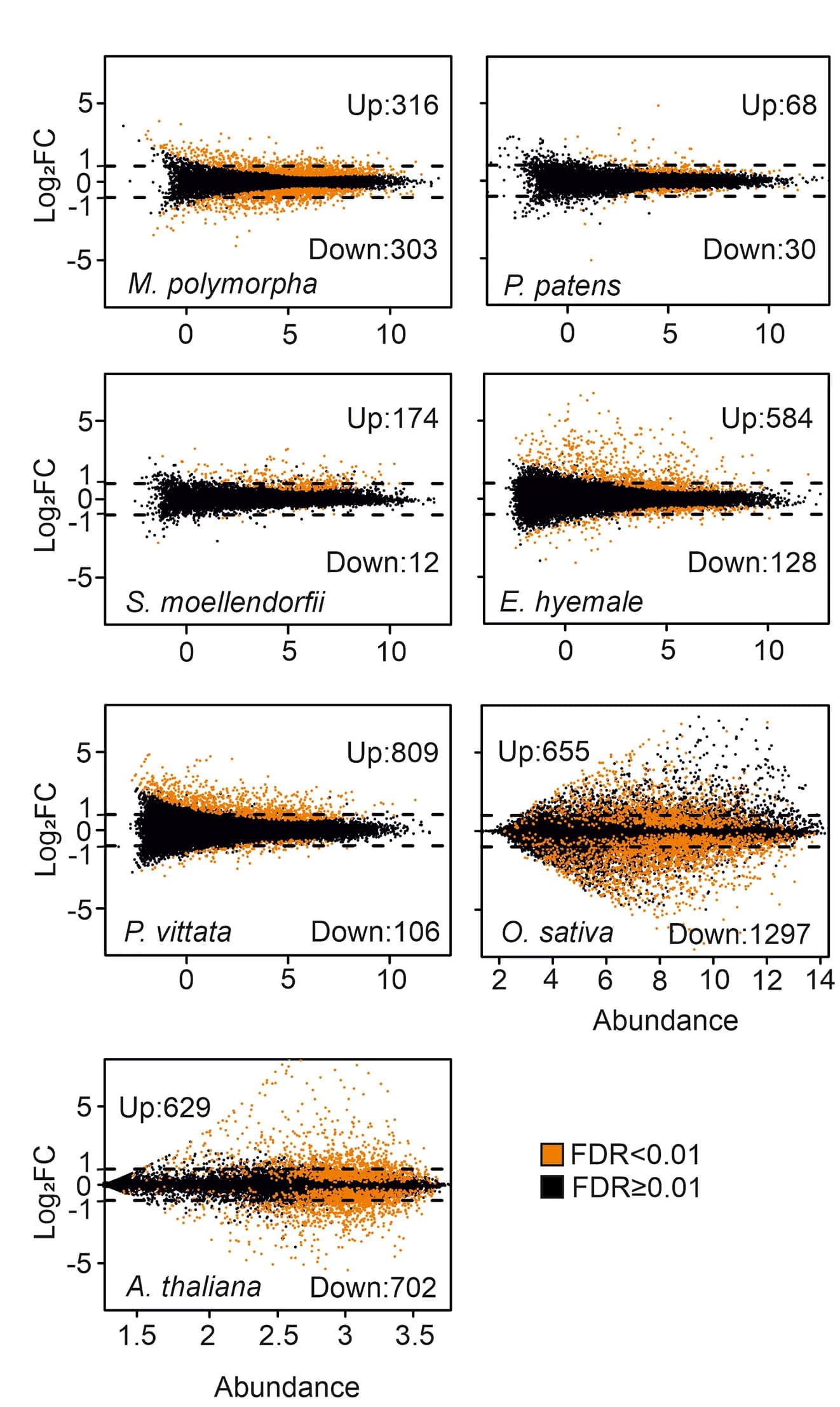 Open access visualization of Volcano Plot, Scatter Plot, Gene Expression, Hypoxia Treatment, Normoxia