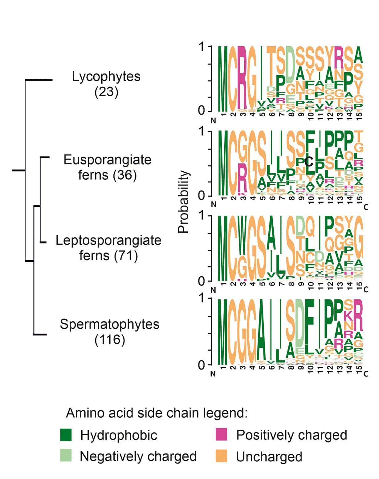 Open access visualization of Illustration, Motif Logo, N-terminal Amino Acids, ERFVII Sequences