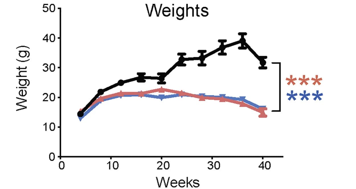 Open access visualization of Line Plot, Error Bars, Weight, Mouse Model