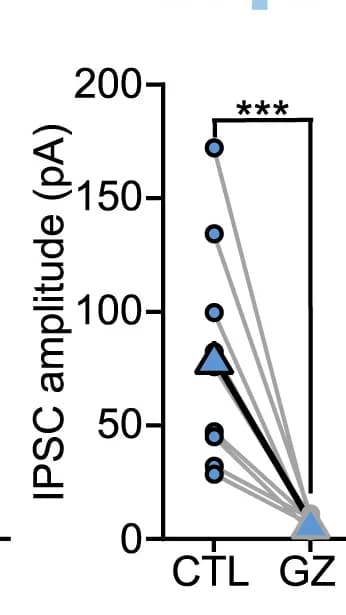 Open access visualization of Scatter Plot, Line Plot, Gabazine, L1 INs, Light-evoked responses