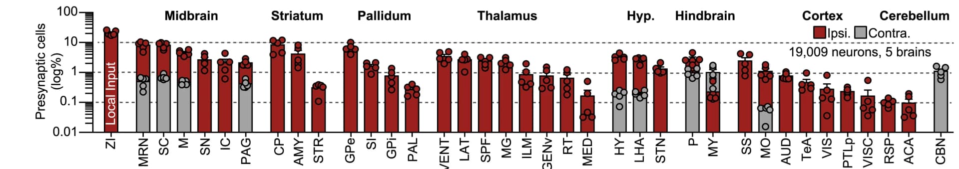 Open access visualization of Bar Plot, Error Bars, Scatter Plot, Presynaptic Cells, Ipsilateral