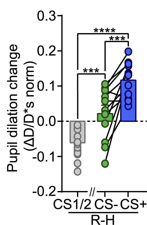 Open access visualization of Scatter Plot, Line Plot, Error Bars, Pupil Response, Habituation