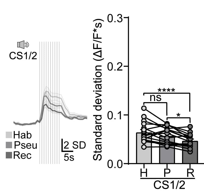 Open access visualization of Bar Plot, Line Plot, Standard Deviation, CS1/2, CS1