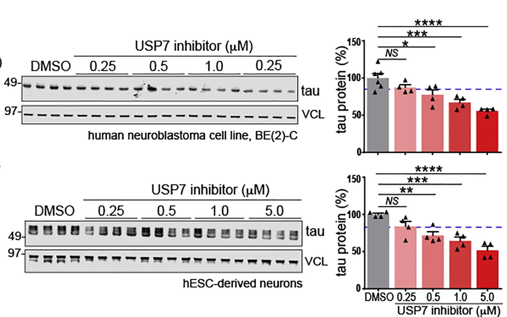 Open access visualization of Bar Plot, Error Bars, Gel, Immunoblot, Quantification