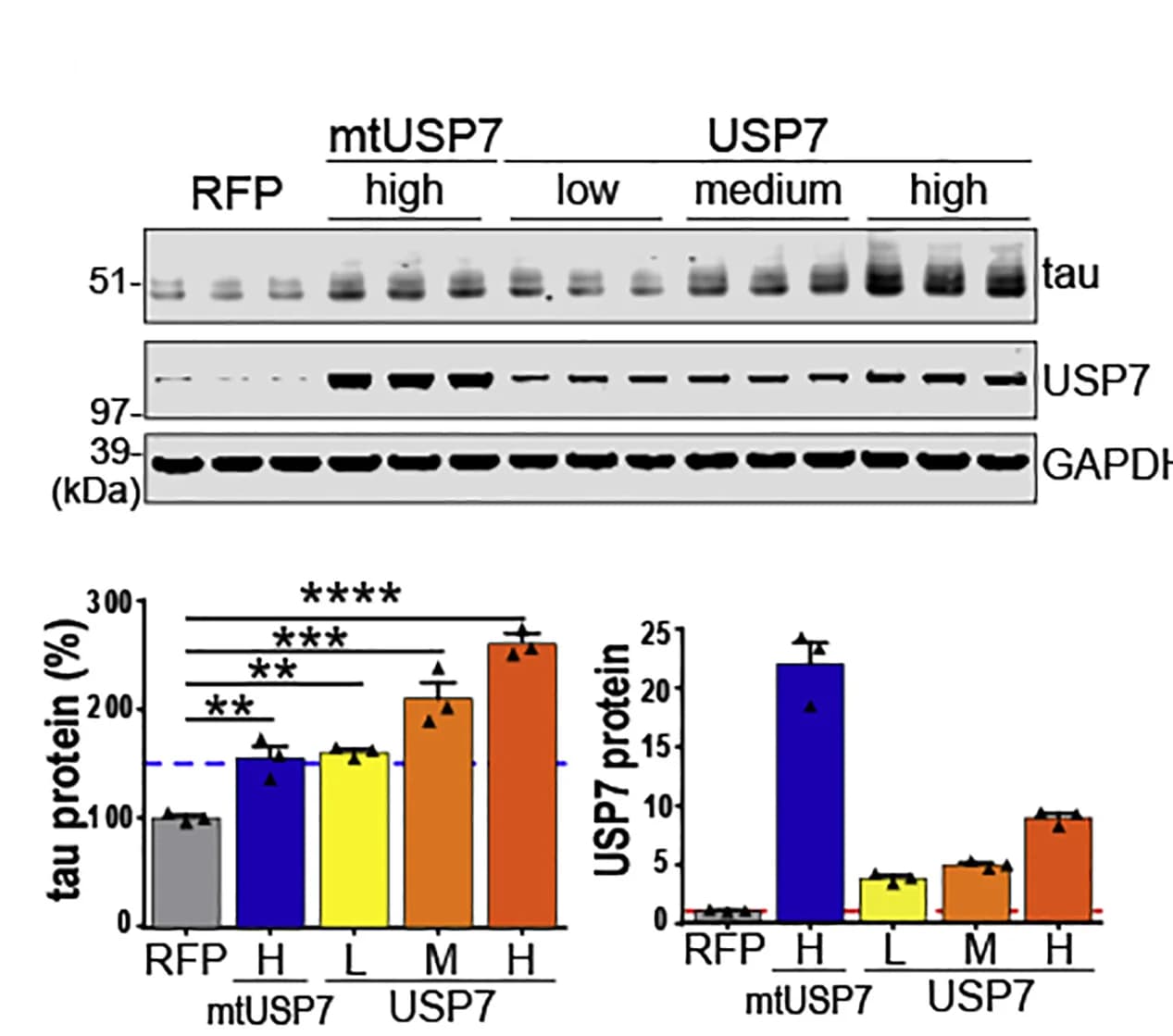 Open access visualization of Bar Plot, Error Bars, Photo, Gel, Immunoblot