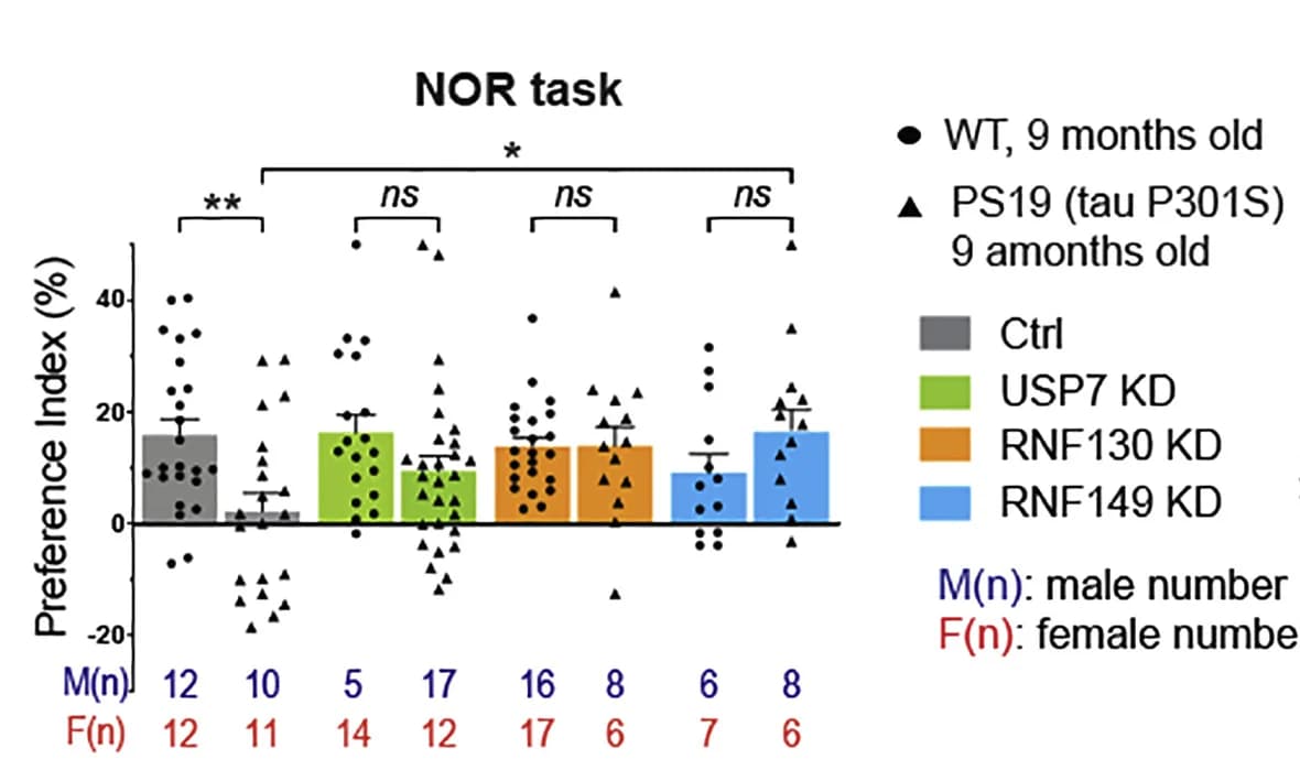 Open access visualization of Bar Plot, Error Bars, Scatter Plot, Novel Object Recognition Task, Tauopathy Mice