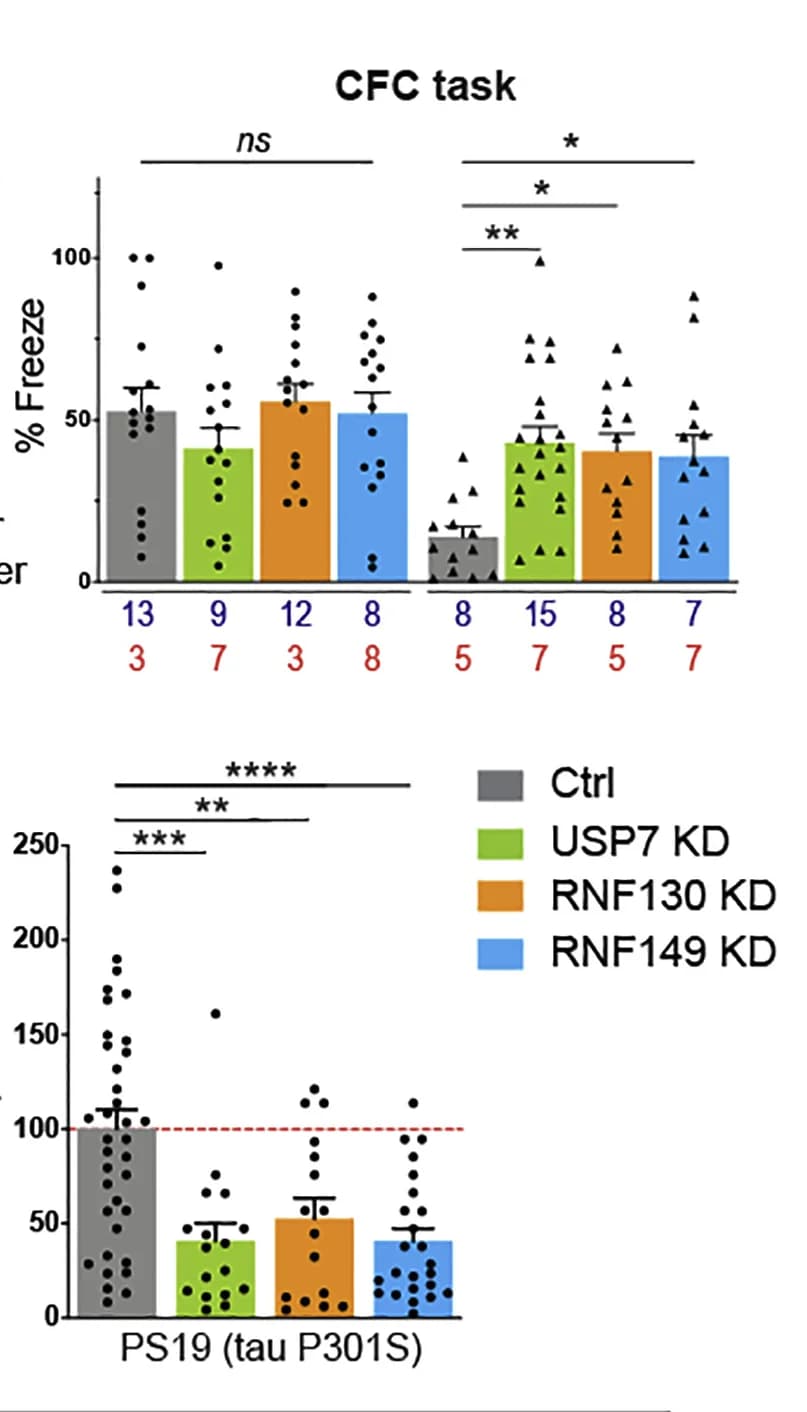 Open access visualization of Bar Plot, Error Bars, Scatter Plot, Contextual Fear Conditioning Task, Tauopathy Mice