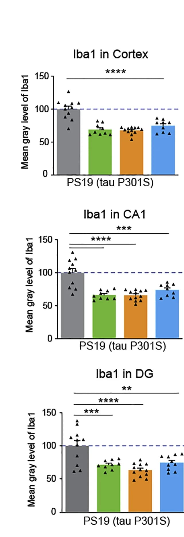 Open access visualization of Bar Plot, Error Bars, Iba1 Intensity, Brain Regions, PS19 Mice