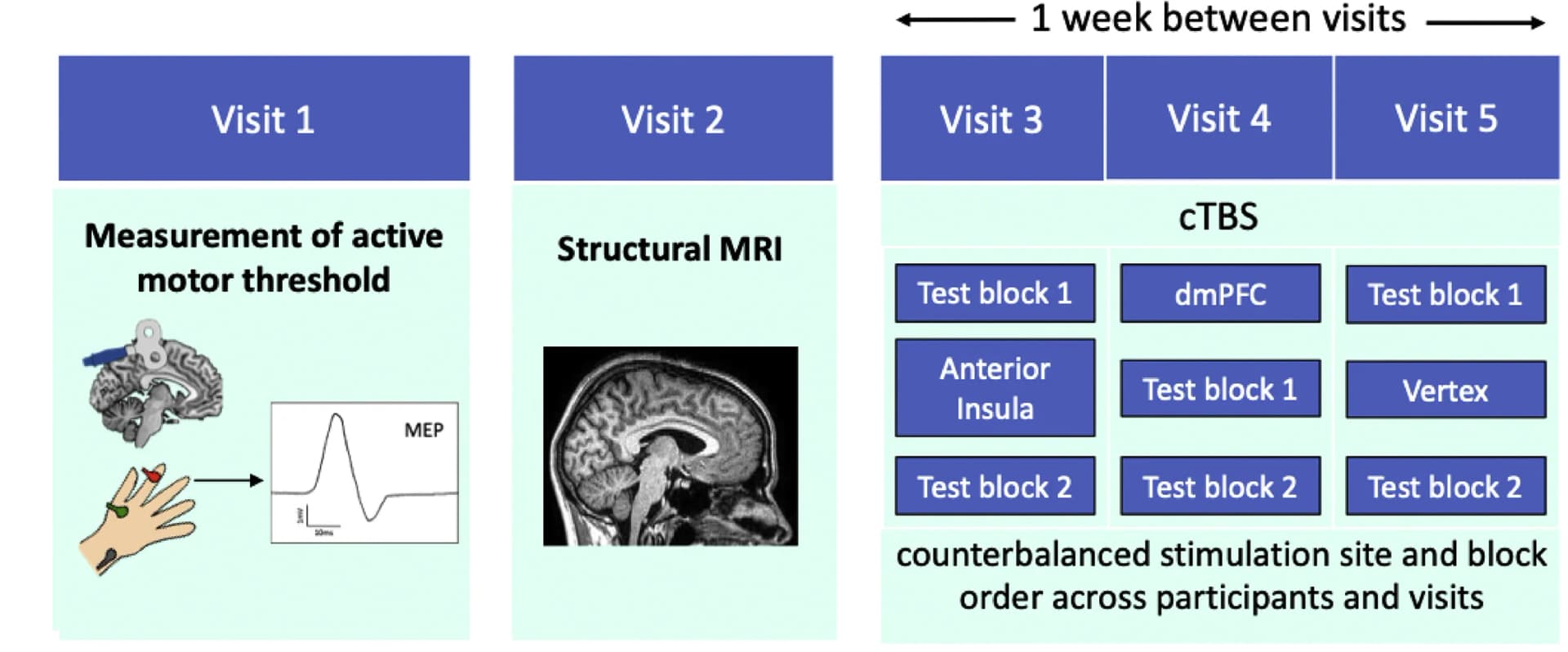 Open access visualization of Workflow, Illustration, Line Plot, Microscopy, Photo