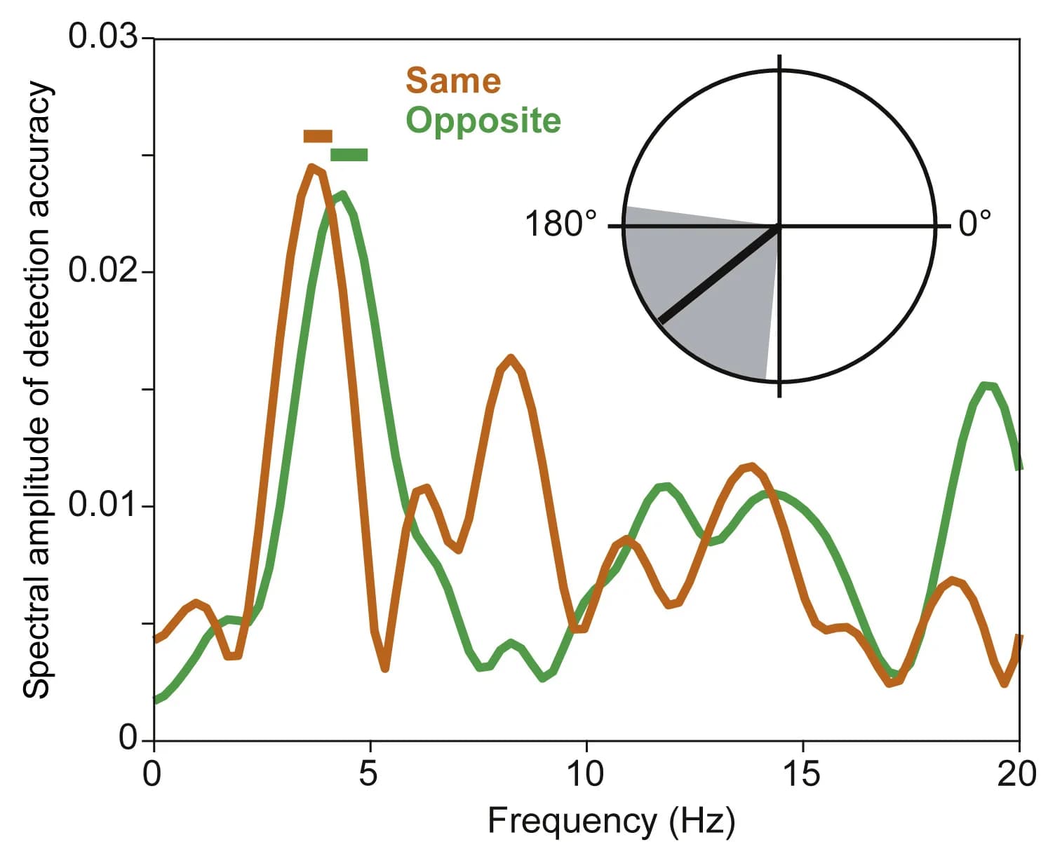 Open access visualization of Line Plot, Radar Chart, Amplitude Spectra, Detection Accuracy, Theta Rhythms