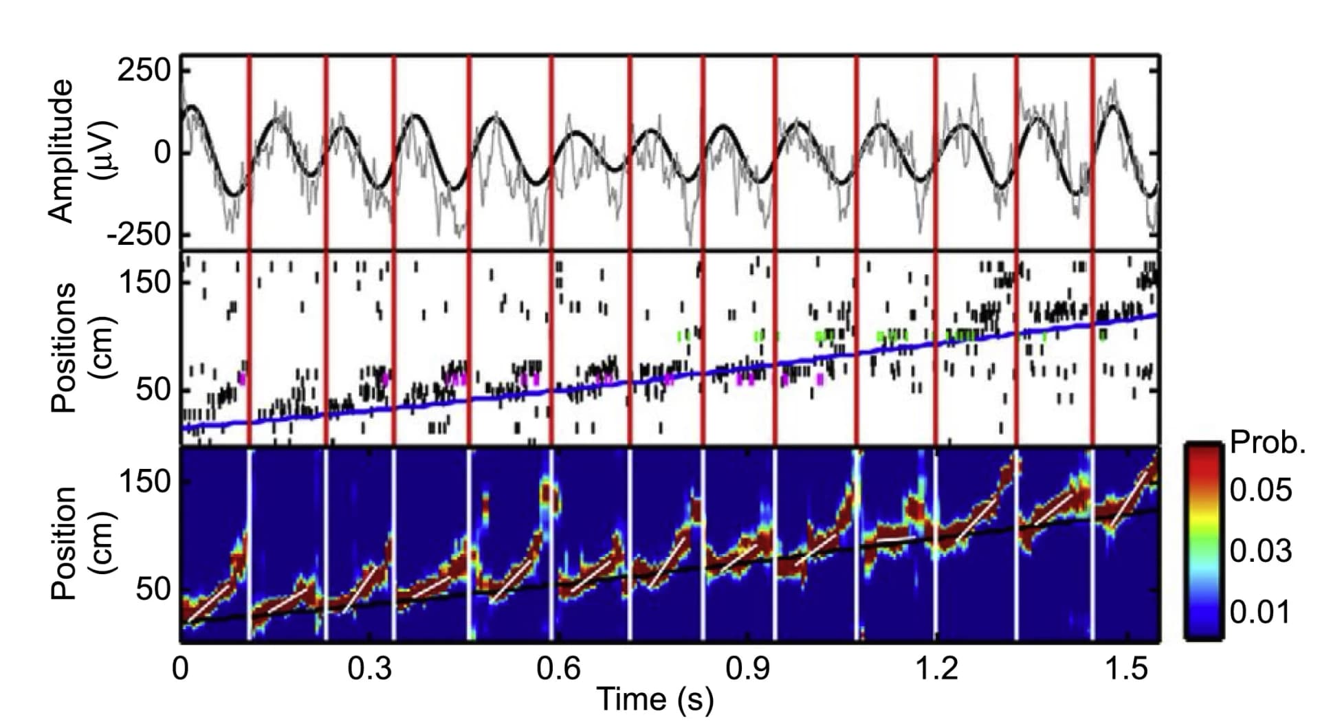 Open access visualization of Line Plot, Scatter Plot, Heatmap, LFP, Theta Band