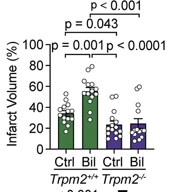 Open access visualization of Bar Plot, Error Bars, Scatter Plot, Infarct Volumes, Control Group