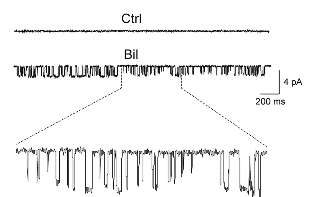 Open access visualization of Line Plot, Line Step, Single-channel recording, Bilirubin, TRPM2 currents