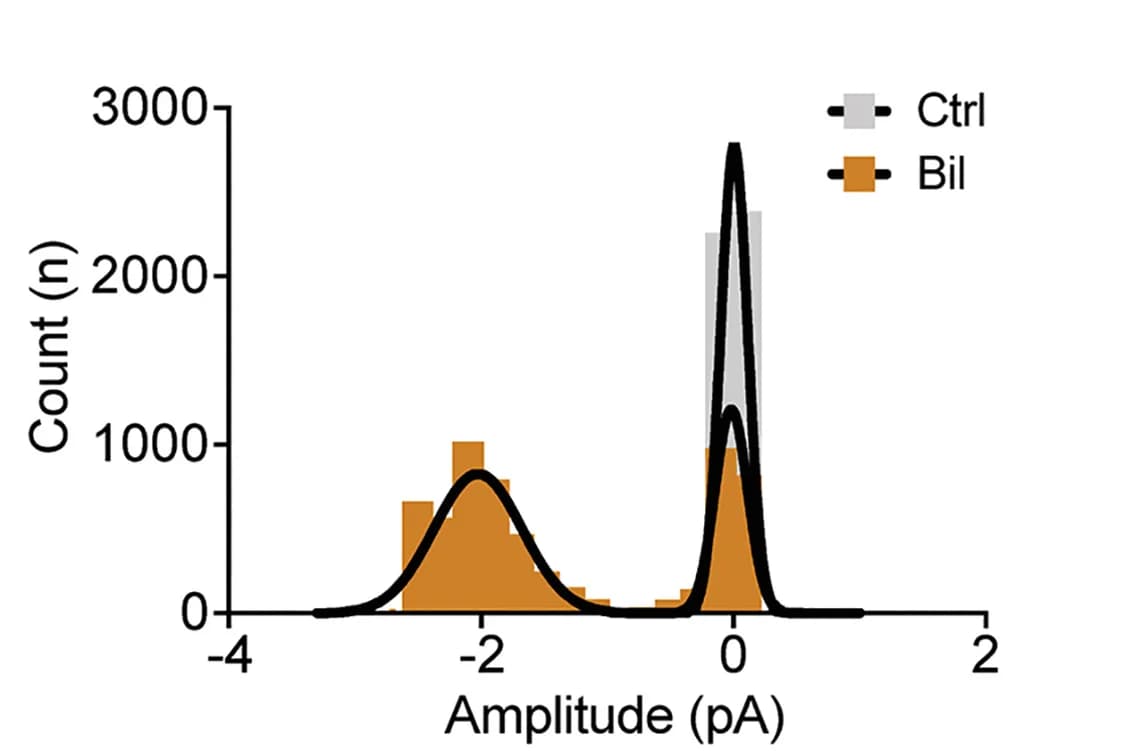 Open access visualization of Histogram, Line Plot, Density Plot, Amplitude histogram, Single-channel current