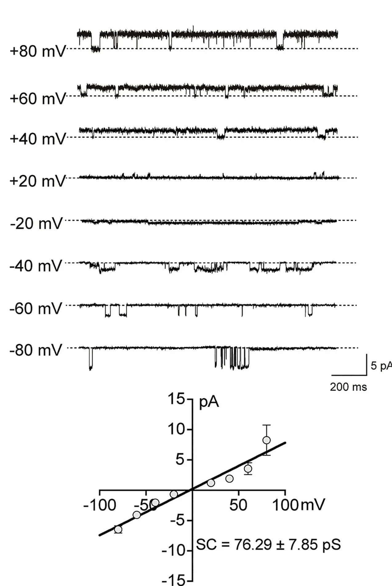 Open access visualization of Line Plot, Scatter Plot, Error Bars, Single-channel current, Bilirubin