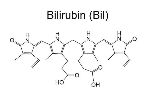 Open access visualization of Chemical Structure, Bilirubin, Derivatives