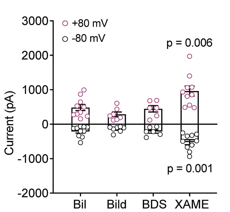 Open access visualization of Error Bars, Current amplitude, Bilirubin, Derivatives