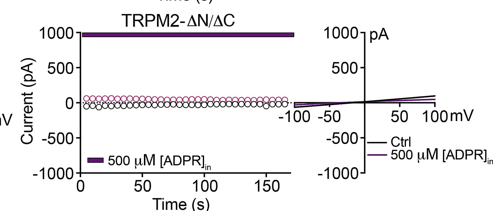 Open access visualization of Line Plot, Time Course, I-V Curves, Currents, ADPR