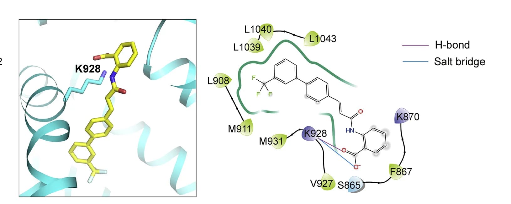 Open access visualization of Protein Structure, Chemical Structure, Molecular Docking, A23, hTRPM2