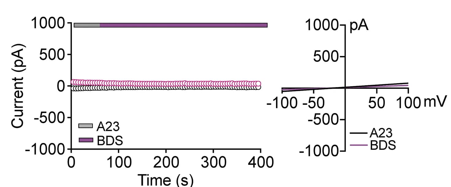 Open access visualization of Line Plot, Scatter Plot, HEK293 Cells, A23, BDS